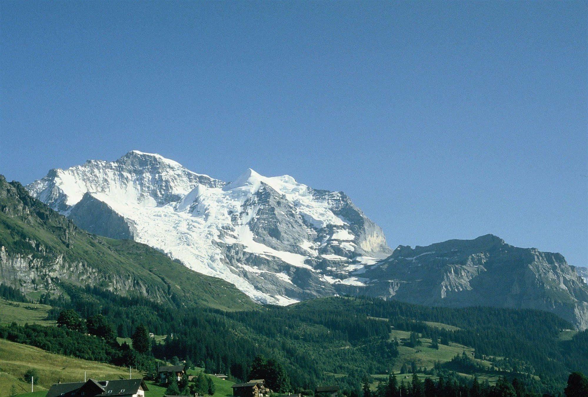 Historic Hotel Falken Wengen Extérieur photo